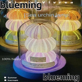 Blueming2 โคมไฟกลางคืน แบบเรืองแสง แฮนด์เมด DIY