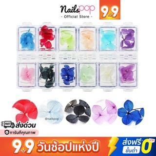 ดอกไม้แห้ง ดอกไม้ติดเล็บ 3D Hydrangea Dried Flower ดอกไม้แห้ง 12 สี   [12G-20]