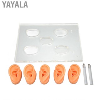 Yayala Silicone Ear Model   for ENT Hospitals