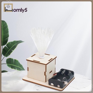 [Homyl5] โมเดลไม้ไฟเบอร์ออปติก หลากสีสัน ของเล่นเสริมการเรียนรู้เด็ก DIY