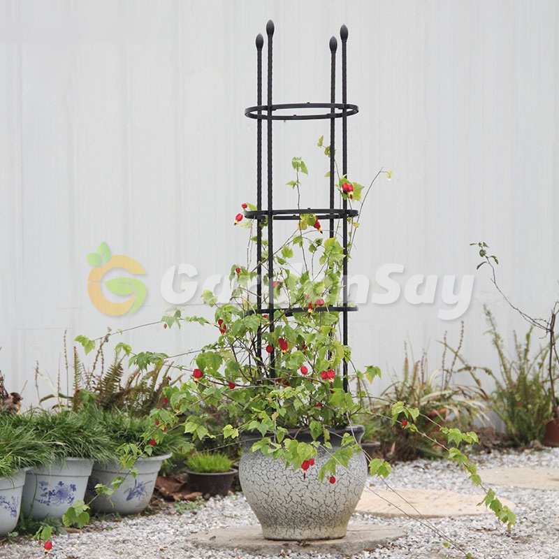 PG.ระแนงไม้เลื้อย ซุ