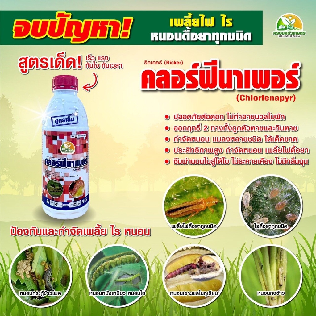 ยากำจัดหนอนดื้อยา คลอร์ฟีนาเพอร์ กำจัดเพลี้ยไฟ ไร หนอนกระทู้หอม หนอนเจาะดอกหนอนม้วนใบ หนอนกอ  ยาเย็นฉีดผ่าดอกได้