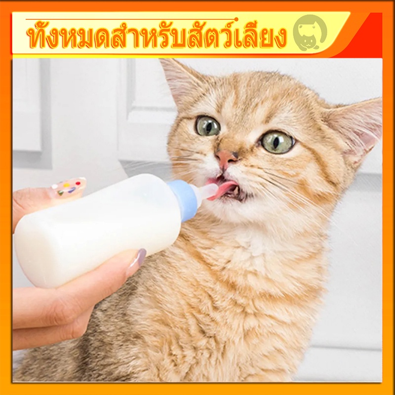 [พร้อมส่ง] ขวดนมสัตว์เลี้ยง 60 มล ขวดนมสำหรับป้อนสุนัข & แมว จุกป้อนนมแมว ขวดนมสุนัข จุกนมกระรอก กันรั่วซึม กันฝุ่น COD