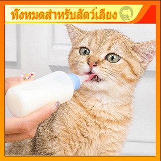 [พร้อมส่ง] ขวดนมสัตว์เลี้ยง 60 มล ขวดนมสำหรับป้อนสุนัข & แมว จุกป้อนนมแมว ขวดนมสุนัข จุกนมกระรอก กันรั่วซึม กันฝุ่น COD