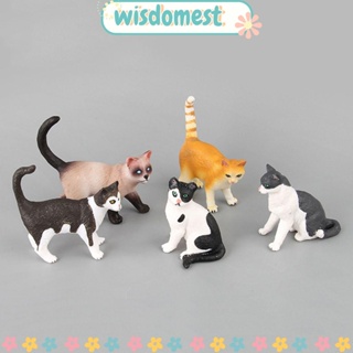 WISDOMEST โมเดลสัตว์เลี้ยง บอนไซ แมว พลาสติก ขนาดเล็ก DIY สําหรับตกแต่งบ้านตุ๊กตา 1 ชิ้น