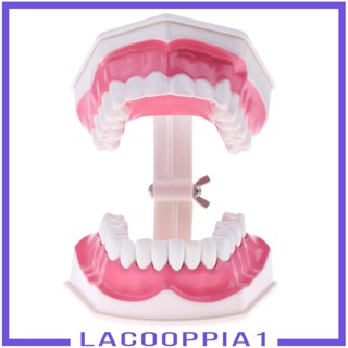 [Lacooppia1] อุปกรณ์ตกแต่ง ปากมนุษย์ ขนาด 15x12x9 ซม. 15x12x9 ซม.