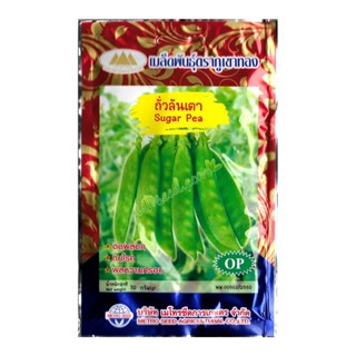 เมล็ดถั่วลันเตา Sugar Pea MT/OP-028 ตราภูเขาทอง ขนาด10กรัม เ…
