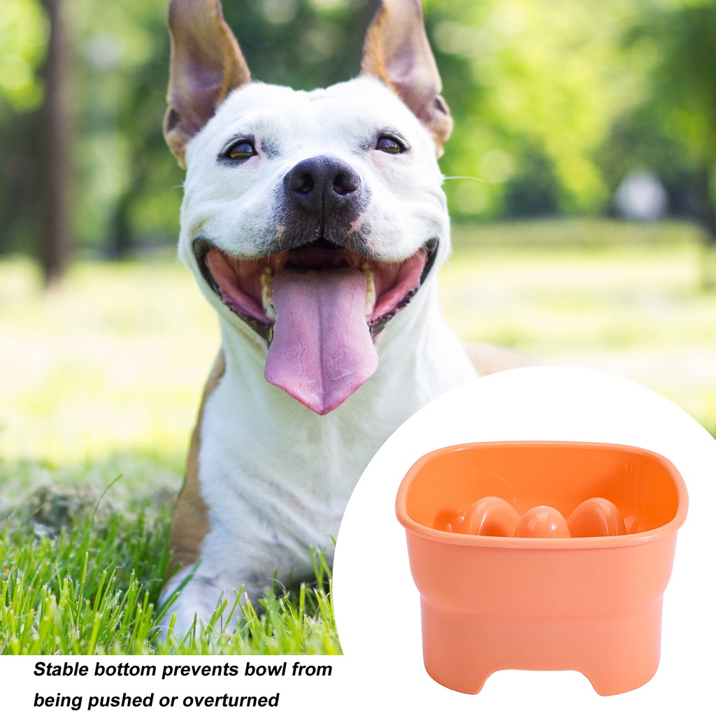 ชามใส่อาหาร ป้องกันการสําลัก ขนาดใหญ่ จุของได้เยอะ สําหรับสัตว์เลี้ยง สุนัข แมว