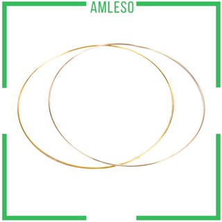 [Amleso] พวงหรีดดอกไม้ มาคราเม่ ห่วงโลหะ ขนาดใหญ่ สําหรับแขวนตกแต่งผนัง งานแต่งงาน DIY 2 แพ็ค