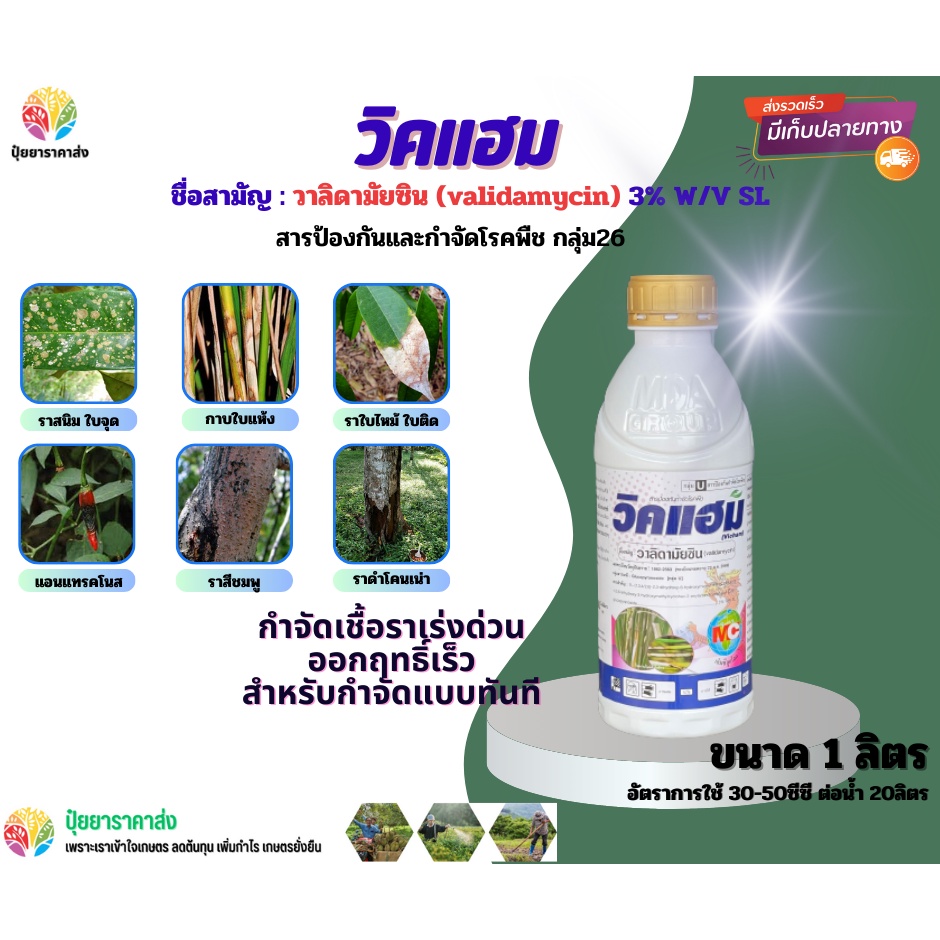 วิคแฮม MC 1ลิตร วาลิดามัยซิน กำจัดเชื้อราเร่งด่วน ออกฤทธิ์เร็ว ราสนิม ใบจุด กาบใบแห้ง ราใบไหม้ ใบติด แอนแทรคโนส