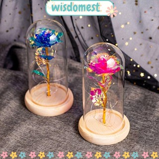 WISDOMEST โดมแก้ว ลายดอกไม้ สไตล์โรแมนติก ของขวัญวันวาเลนไทน์ สําหรับตกแต่ง