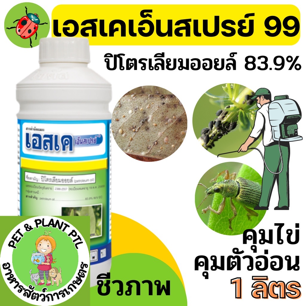 เอสเค เอ็นสเปรย์ 99 -ปิโตรเลียมออยล์ 83.9% W/V EC -คุมไข่ คุมตัวอ่อน ลดการระบาดของแมลงศัตรู - ขนาดบรรจุ 1 ลิตร