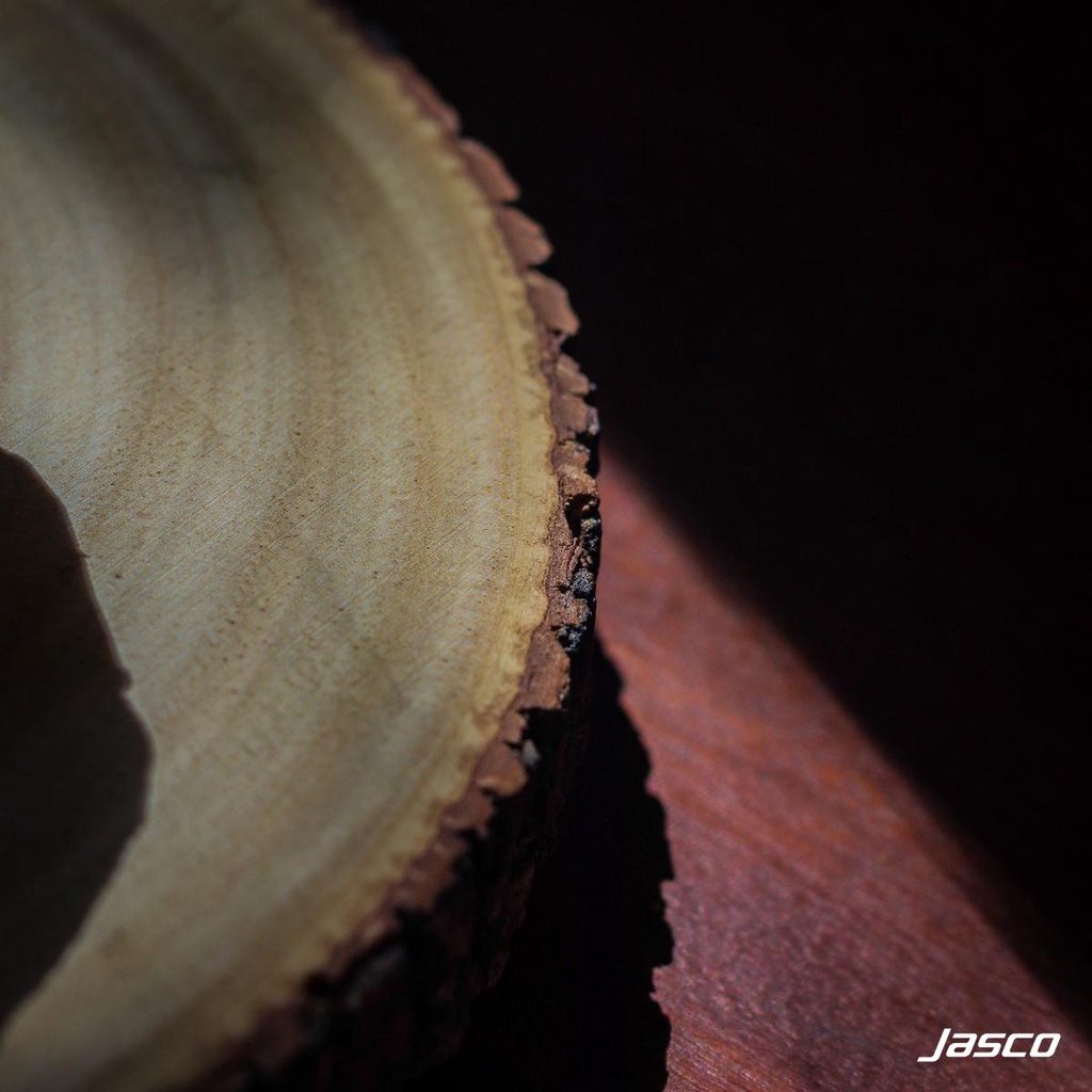 Jasco ถาดไม้กลม Natural Wooden Serving Board รูปที่ 6
