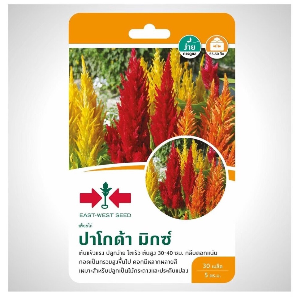 สร้อยไก่ ปาโกด้า มิกซ์ (CELOSIA PL) SD/FW-020 สร้อยไก่ ปาโกด้ามิกซ์ เมล็ดพันธุ์ดอกไม้ ตราศรแดง