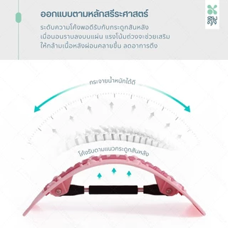 SOMDUL แผ่นดัดหลังสแตนดาร์ด รุ่น MS แผ่นดัดหลังปรับสรีระ ปรับระดับได้