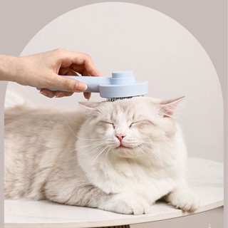 Pets Shop Cat Grooming Brush One Button Hair Removal Massage Minimalism Style Slicker Brushes for Cats Dogs