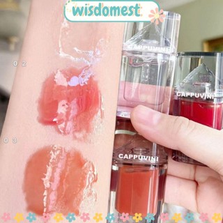 WISDOMEST ลิปกลอส เนื้อเจลลี่ เพิ่มความชุ่มชื้น 3 สี 4 กรัม