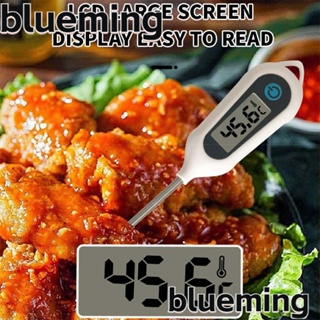 Blueming2 เครื่องวัดอุณหภูมิอาหาร บาร์บีคิว หน้าจอดิจิทัล LCD สเตนเลส แบบพกพา