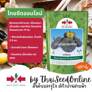 EWCOM ถุงแพ็คเกจใหม่ล่าสุุด เมล็ดพันธุ์ 100g ฟักทองลายข้าวตอก 573 ตราศรแดง Pumpkin