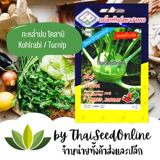 3A เมล็ดพันธุ์ โกลาบี้ กะหล่ำปม ตราสามเอ Kohlrabi or Turnip Cabbage