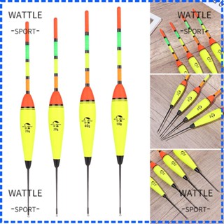 Wattle แท่งไฟลอยน้ํา พลาสติก 20 กรัม -50 กรัม สําหรับตกปลากลางคืน