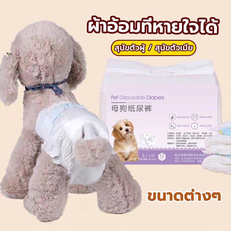 ผ้าอ้อมสุนัขขนาดเล็ก ผ้าอ้อมสุนัข แพมเพิสสุนัขตัวผู้ แพมเพิสสุนัขเพศเมีย ผ้าอ้อมหมา ผ้าอนามัยสุนัข แบบใช้แล้วทิ้ง