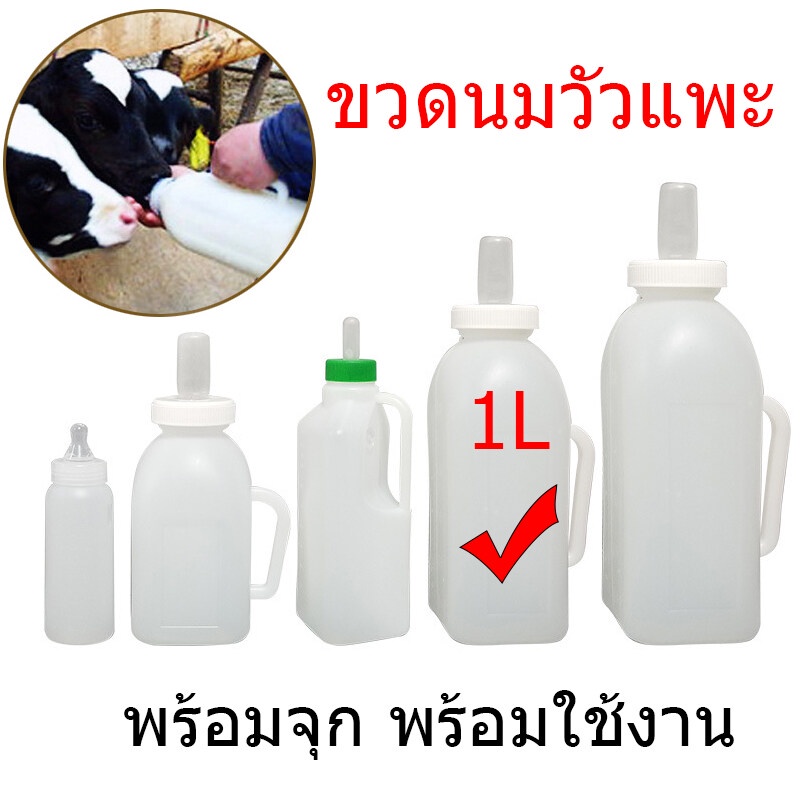 ส่งเร็ว ขวดนมวัว แพะ 1L ให้นมวัว จุกนมวัว ลูกวัว ลูกแพะ แกะ เครื่องป้อนนมวัว จุกนมซิลิโคน คุณภาพดี พร้อมที่จับ