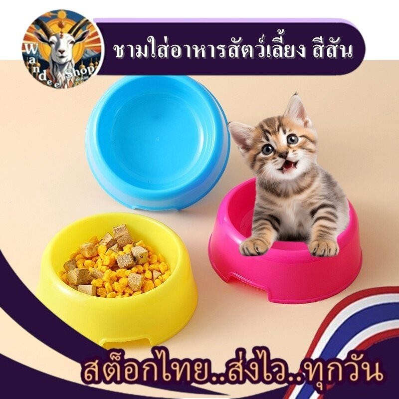 ชามสีสัน ชามอาหารสัตว์เลี้ยง สุนัข แมว ทรงกลม สีสันน่ารัก น้ำหนักเบา ทำความสะอาดง่าย *** สินค้าสต็อกในไทย !! ส่งไว !!