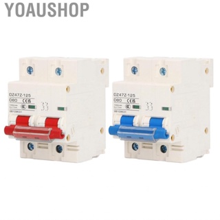 Yoaushop Circuit Breaker  80A Stable 10KA Breaking  2P Mini for Power System