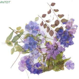 Antot สติกเกอร์ ลายดอกไม้ สําหรับตกแต่งสมุดโน้ต สมุดบันทึก