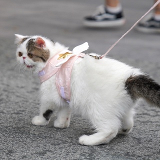 H.T.B.T Cat Harness Leash ปรับได้ 4 Season Universal น่ารัก Angel Wings Vest with 1.5m Traction Rope for Kitten