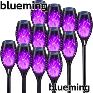 Blueming2 โคมไฟ Led 12 ดวง พลังงานแสงอาทิตย์ กันน้ํา สําหรับตกแต่งสวน ทางเดิน สนามหญ้า