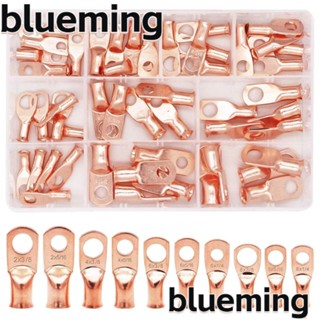 Blueming2 ตัวเชื่อมต่อสายไฟทองแดง AWG 2 4 6 8 10 ขนาด 50 ชิ้น