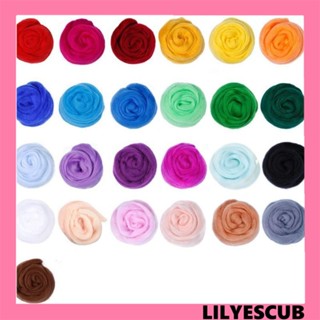 Lilyescub ชุดอุปกรณ์เข็มถักพวงกุญแจ ผ้าขนสัตว์ 25 สี เพื่อการเรียนรู้ สําหรับตกแต่งบ้าน