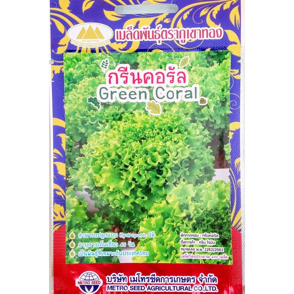 เมล็ดผักสลัด กรีนคอรัล Greencoral MT/LT-08 ตราภูเขาทอง ประมาณ200เมล็ด เมล็ดกรีนคอรัล เมล็ดกรีนคอรัล