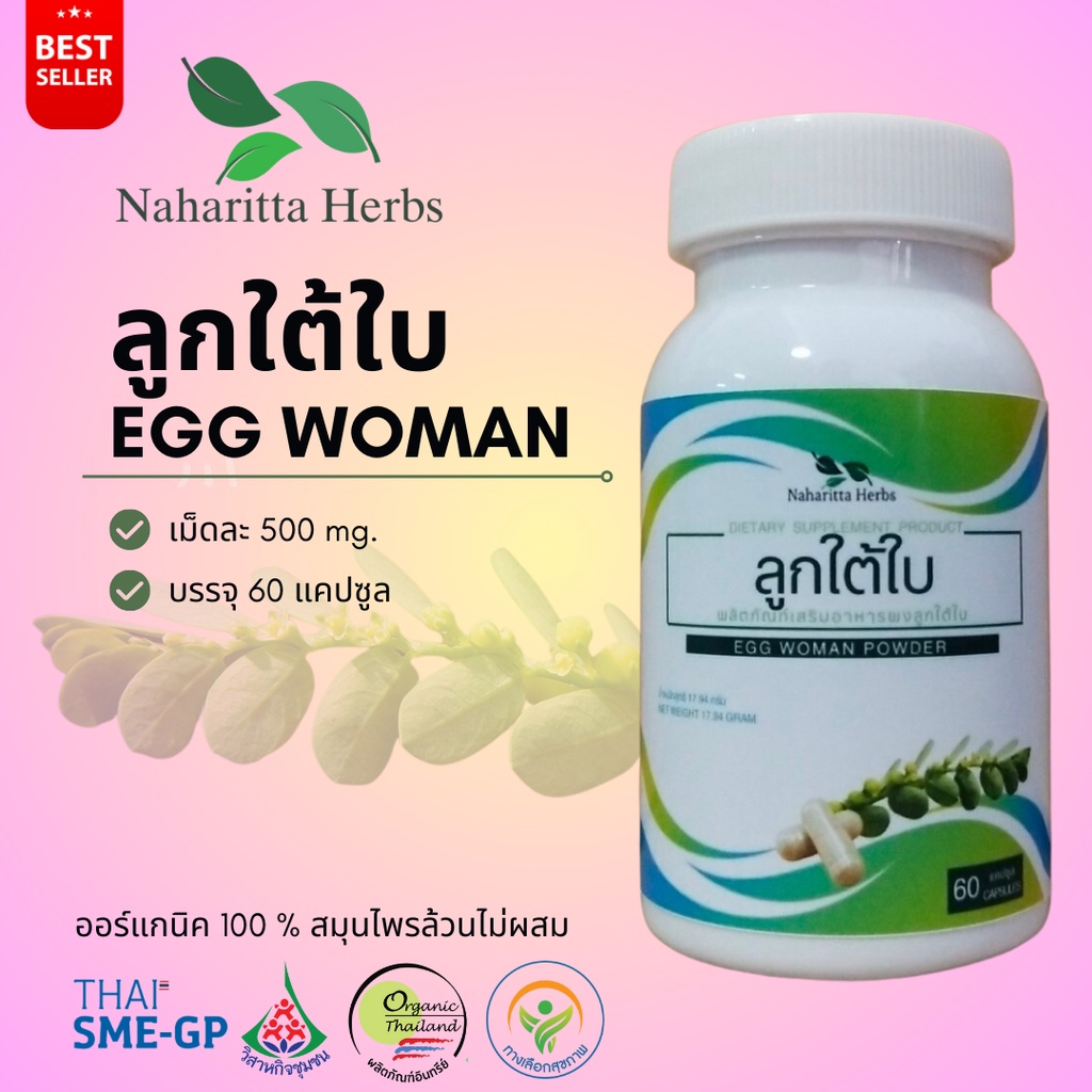 ลูกใต้ใบ Egg Woman 100% 60cap. เลือกขนาดได้ในตัวเลือก สินค้าคุณภาพ พร้อมส่ง