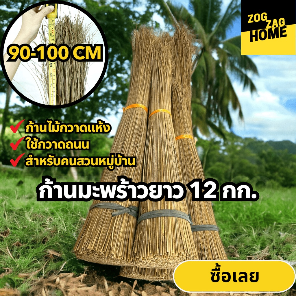 12 กก ความยาว 90-100 ซม ก้านมะพร้าว ไม้กวาดลานวัด กวาดใบไม้ สำหรับผู้มีจิตศรัทธาถวายวัด จัดส่งวันถัดไปทันที Zogzaghome