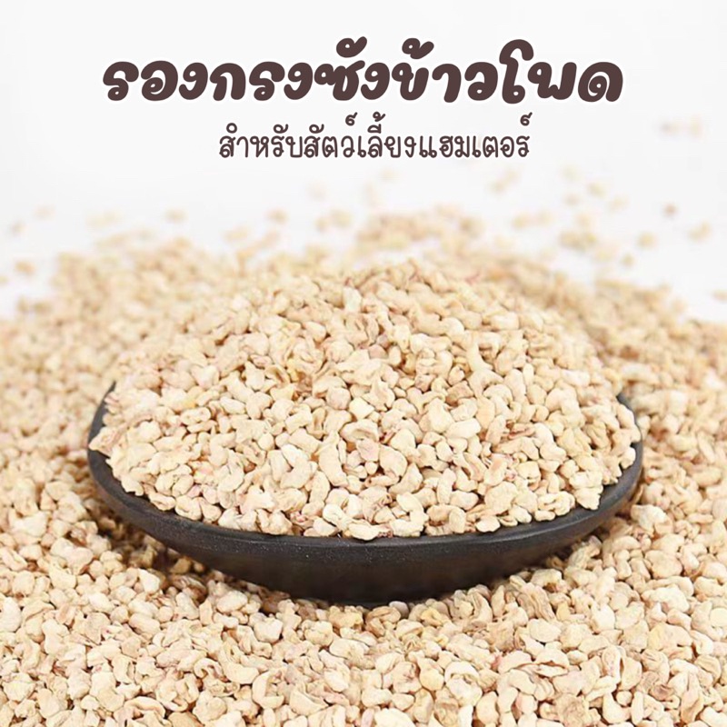 รูปภาพ 6