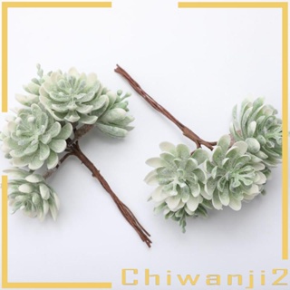 [Chiwanji2] พืชอวบน้ําประดิษฐ์ ขนาดเล็ก สีเขียว สําหรับตกแต่งบ้าน สวน DIY 2 ชิ้น