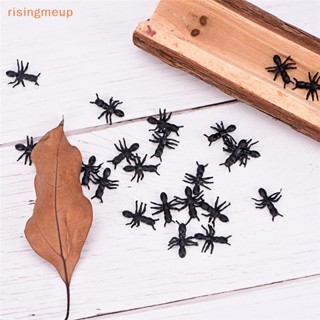 [risingmeup] มดพลาสติก สีดํา สําหรับตกแต่งปาร์ตี้ฮาโลวีน 50 ชิ้น/ล็อต