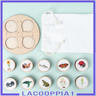 [Lacooppia1] บอร์ดไม้ วงจรชีวิตสัตว์ หลากสี ของเล่นเสริมพัฒนาการ สําหรับเด็กผู้ชาย และเด็กผู้หญิง