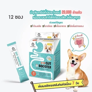 [แบ่งขาย 1 ซอง] Sun Wonder อาหารเสริมบำรุงสุขภาพสุนัขและแมว ปรับสมดุลสำไส้ เสริมภูมิคุ้มกัน บำรุงขนและผิวหนัง