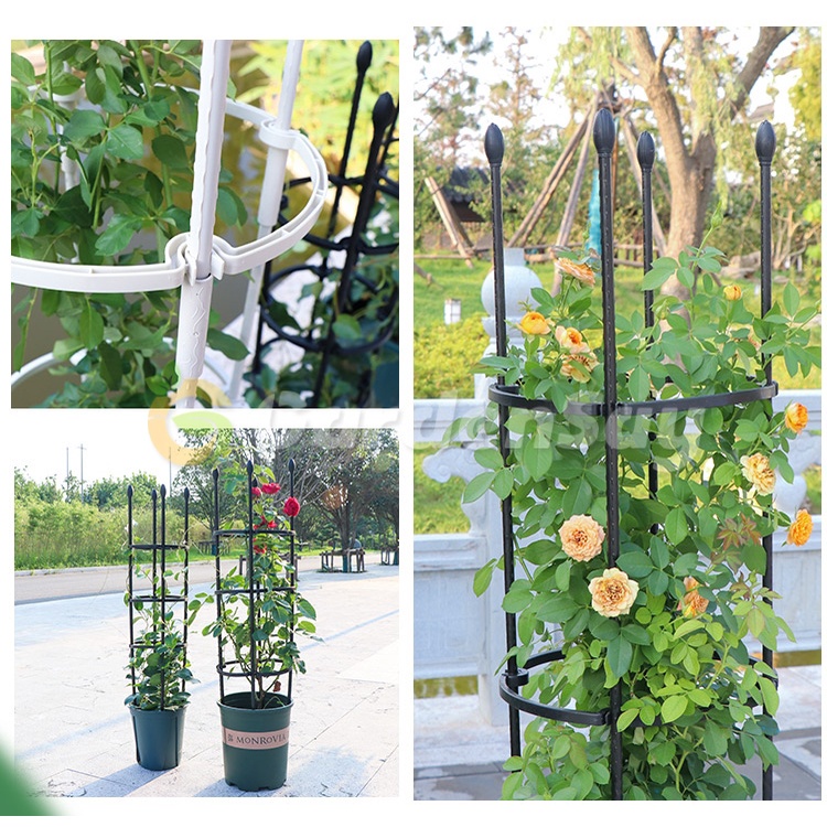 PG.ระแนงไม้เลื้อย ซุ