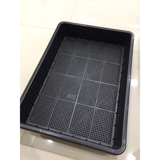 ถาดไดโซะใหญ่ 5 ใบ ถาดเพาะต้นกล้า ต้นอ่อน กระถางแคคตัส