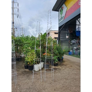 ** สั่งแยกจากสินค้าอื่น** ซุ้ม T-Rose ทรีโรส 70cm , 90cm , 100cm ซุ้มกุหลาบ
