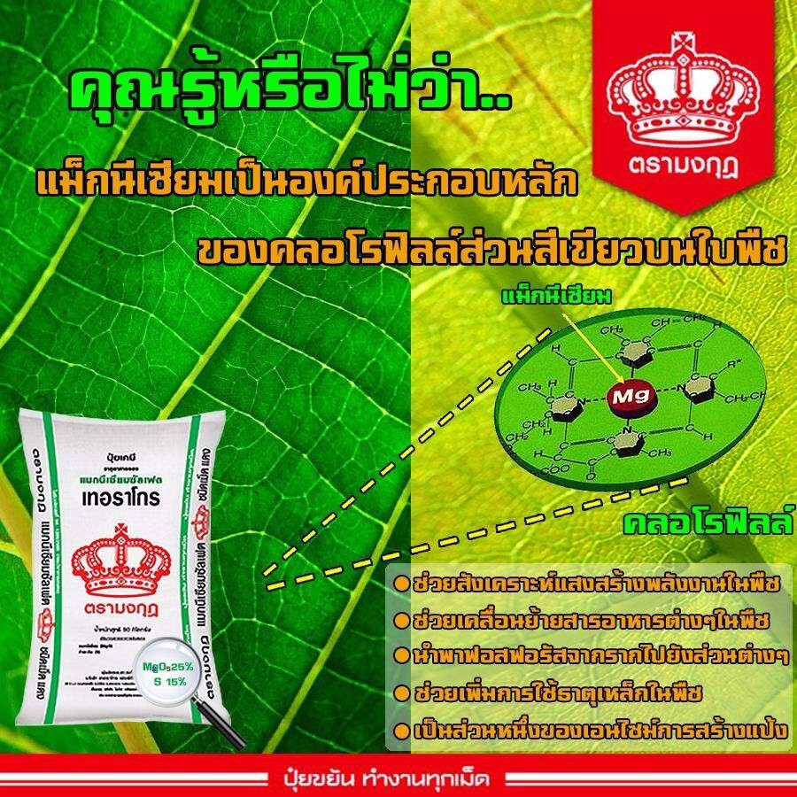 ปุ๋ย แมกนีเซียมซัลเฟต ชนิดเม็ด Granular Magnesium Sulphate(Kieserite) ปุ๋ยกีเซอร์ไรท์ (แบ่งขาย) - รูปที่ 2