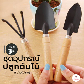 ชุดอุปกรณ์ปลูกต้นไม้ เซต 3 ชิ้น #ด้ามไม้ใหญ่ เซ็ตจัดสวน อุปกรณ์ปลูกแคคตัส