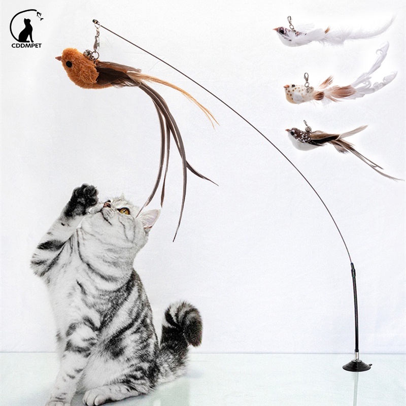 【CDDMPET】ไม้ตกแมวขนนกติดพื้น ของเล่นแมว มีกระดิ่ง ก้านยาว แบบปุ่มดูดสุญญากาศ ถอดออกได้