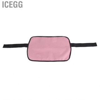 Icegg Booty Belt Oxford Cloth High Load Bearing  Hip Thrust Easy Set Up Multifunction Pink for Squats Lunges