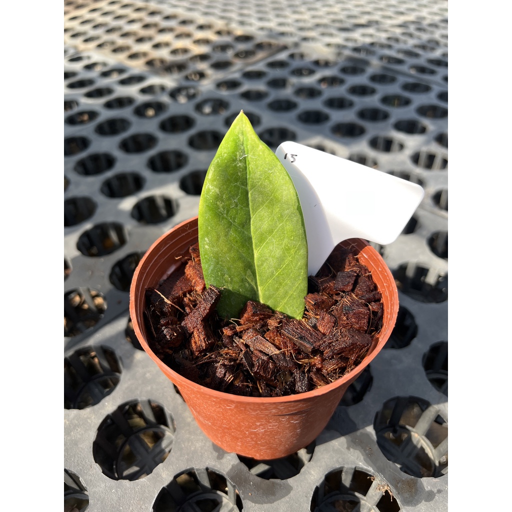 มุมมอง 4